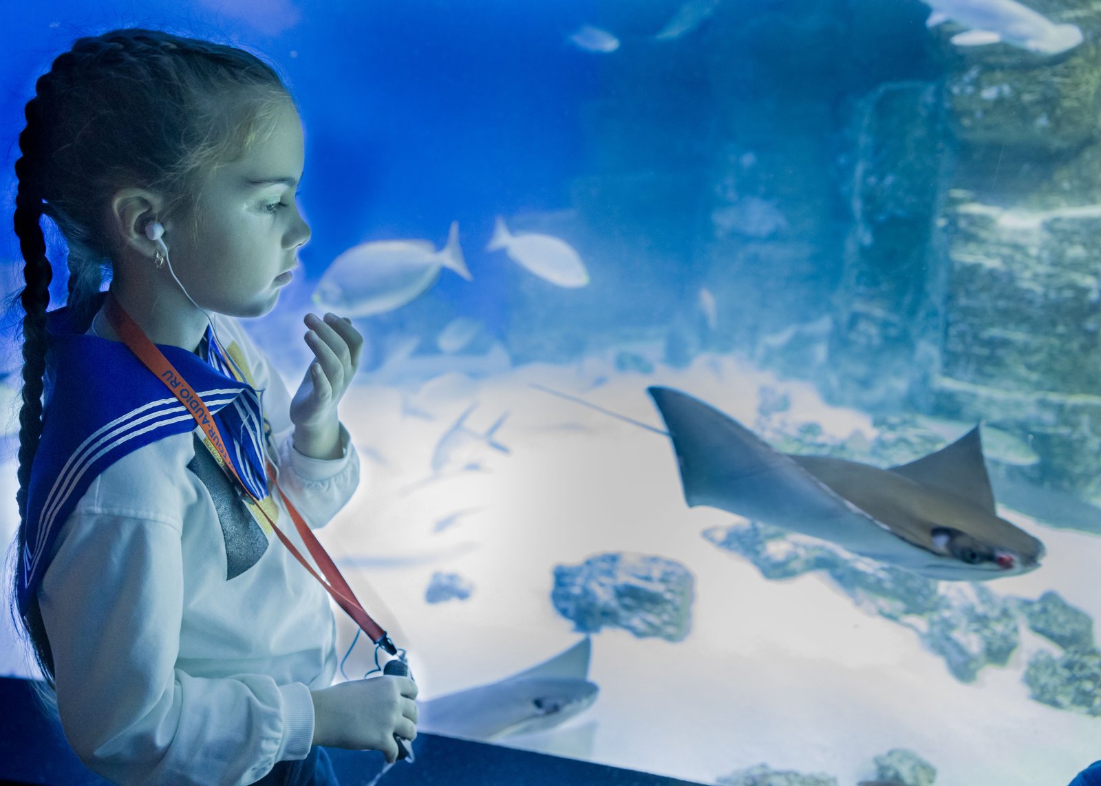 Aquarium Artis a Amsterdam