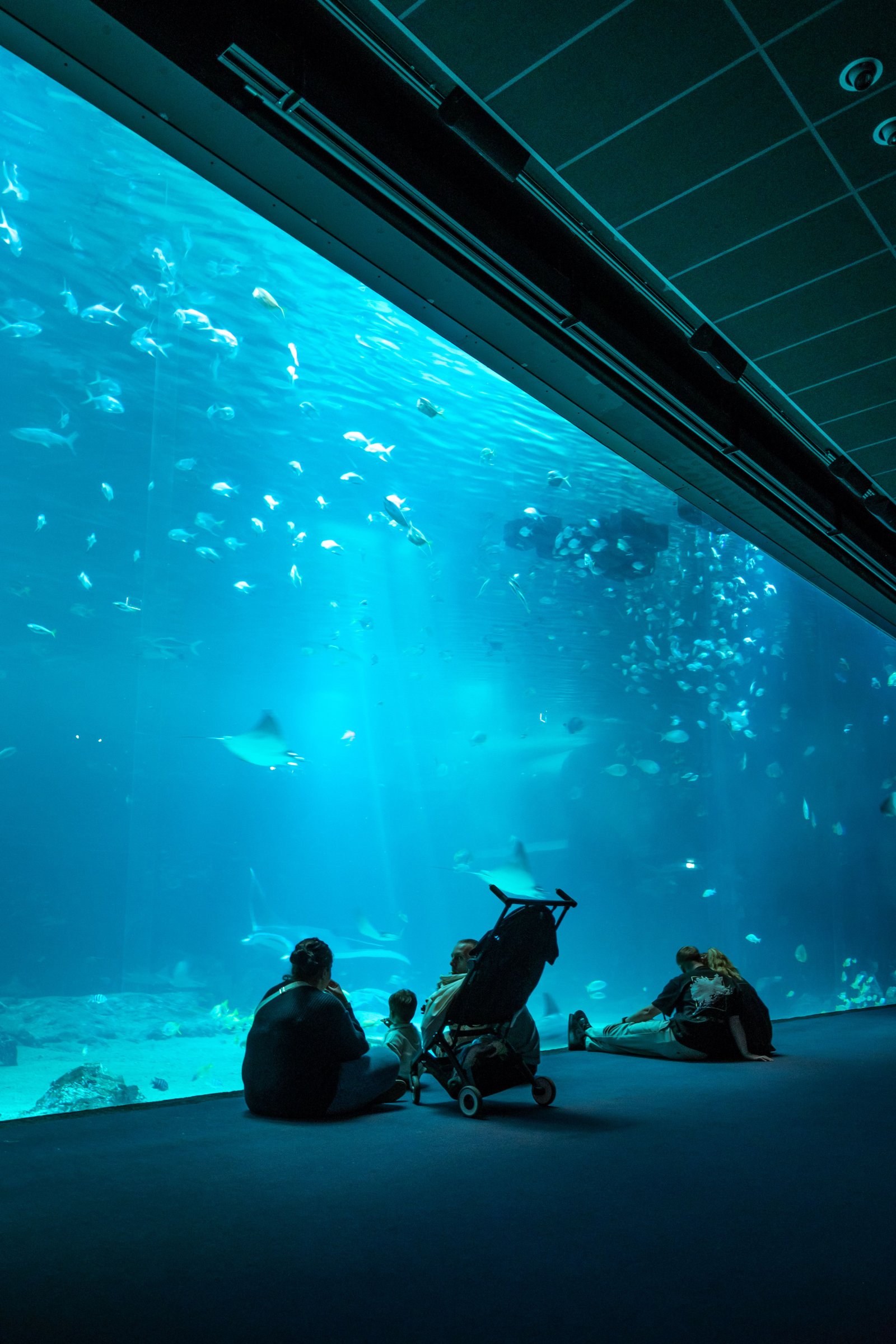 Aquarium de Barcelone