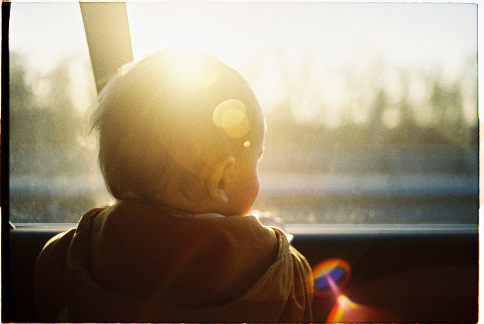Bébé regardant le paysage depuis la fenêtre du train