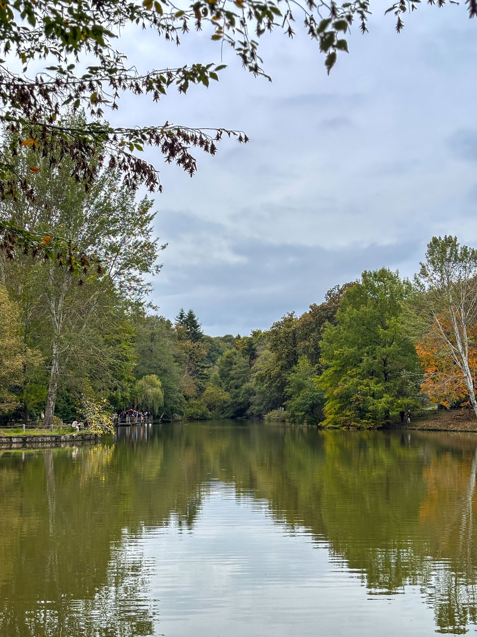 Lac entouré d'arbres au Bois de Boulogne à Paris