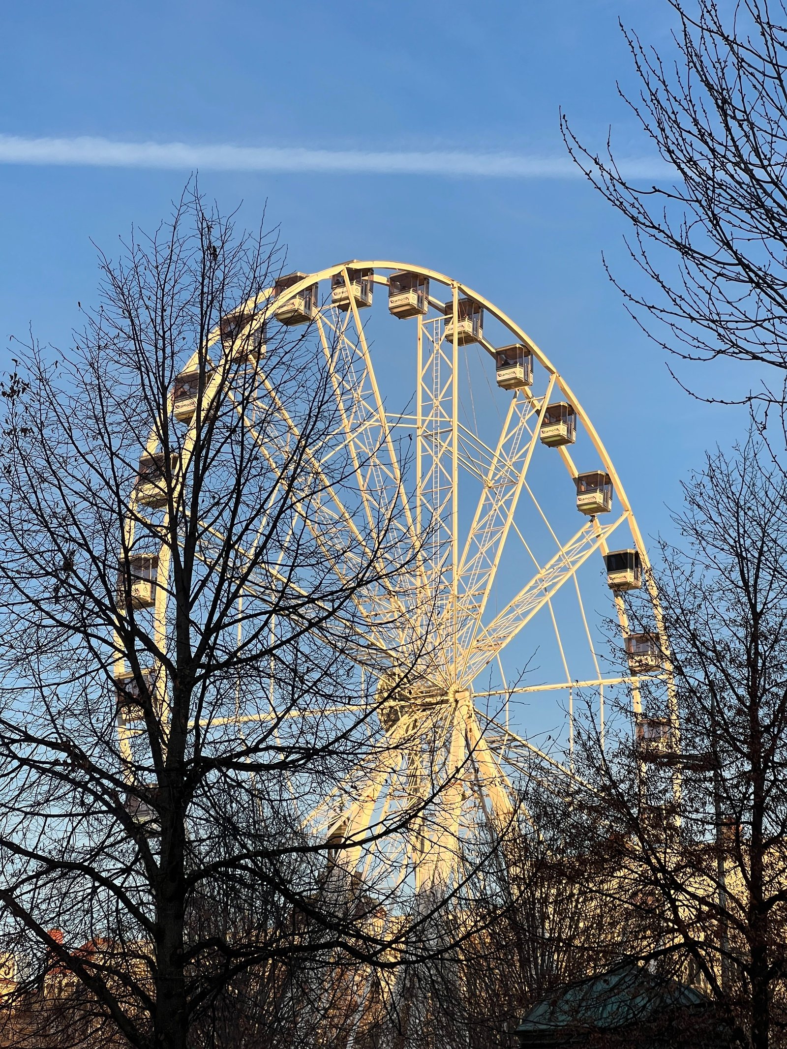 Grande roue de la place Bellecour sur la Presqu'île de Lyon