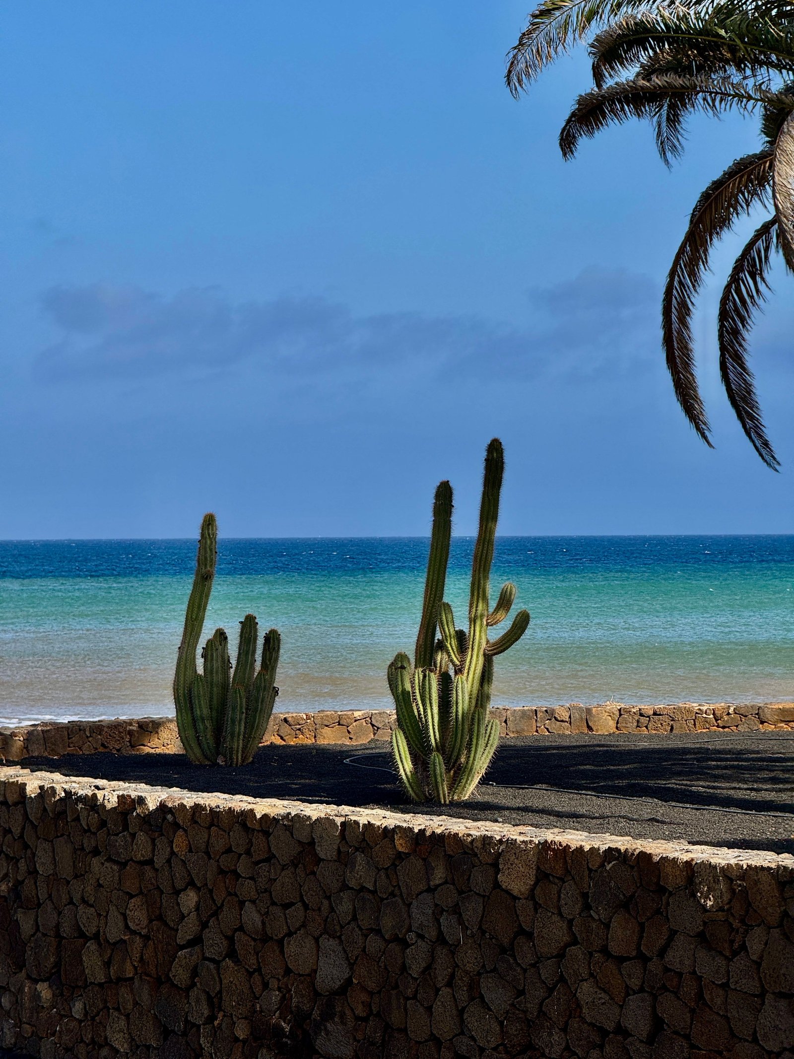 Plage familiale aux îles Canaries