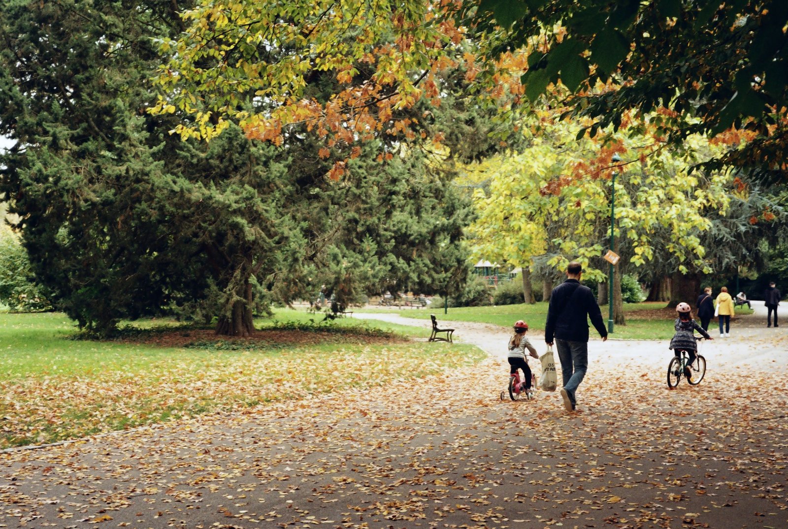 Famille dans un grand parc