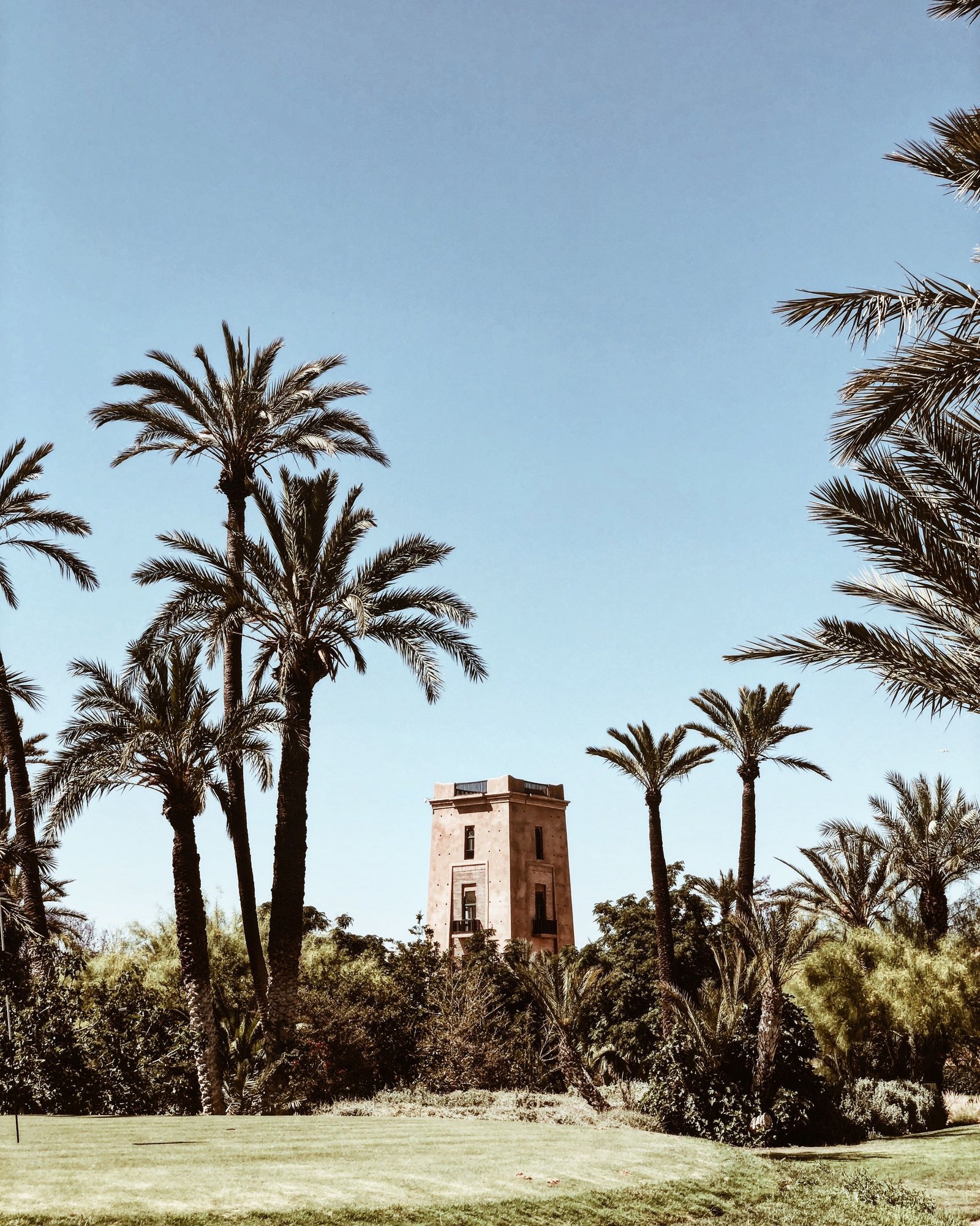 Palmeraie de Marrakech en famille