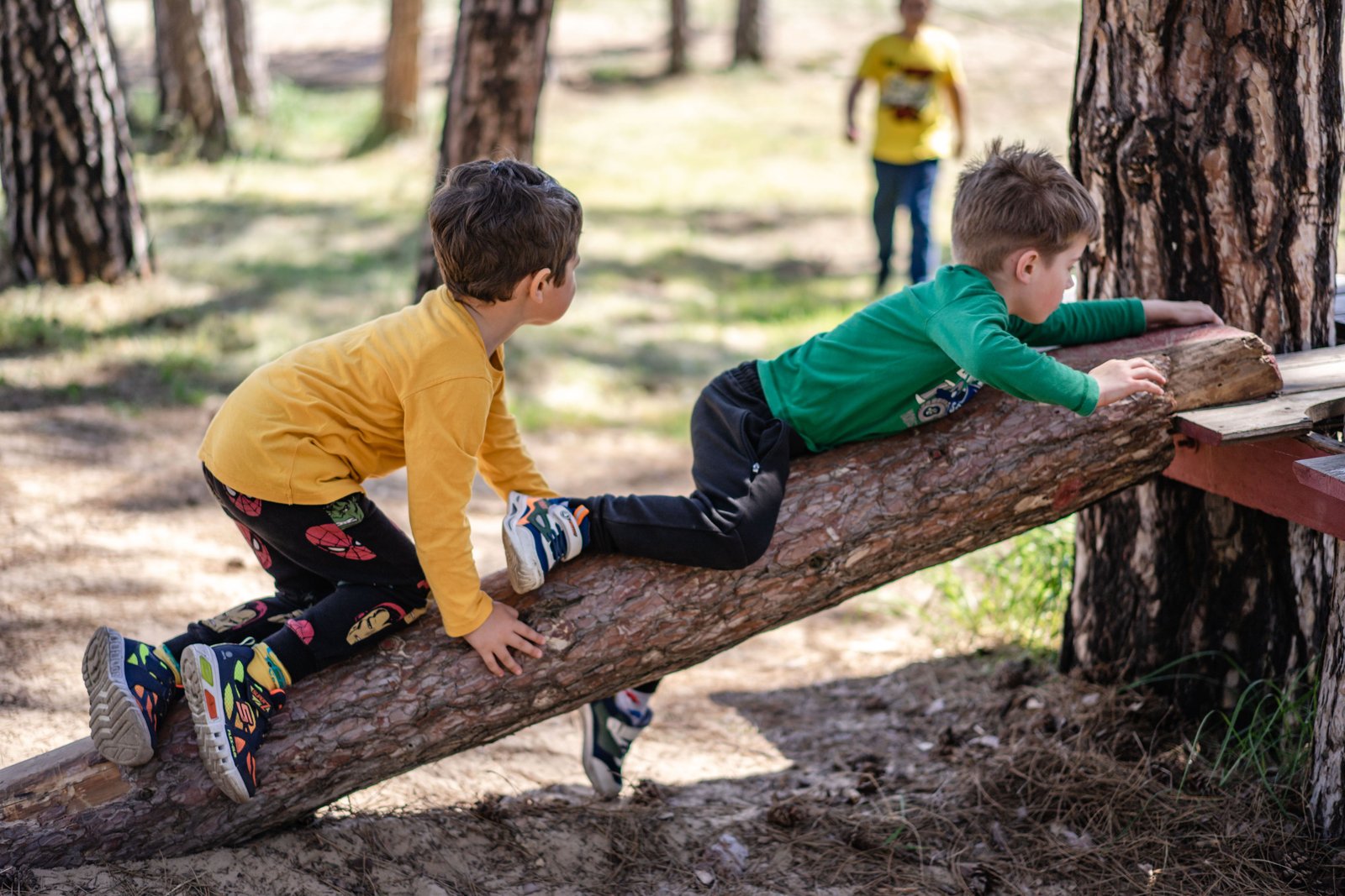 Enfants en micro-aventure dans une forêt près de Paris