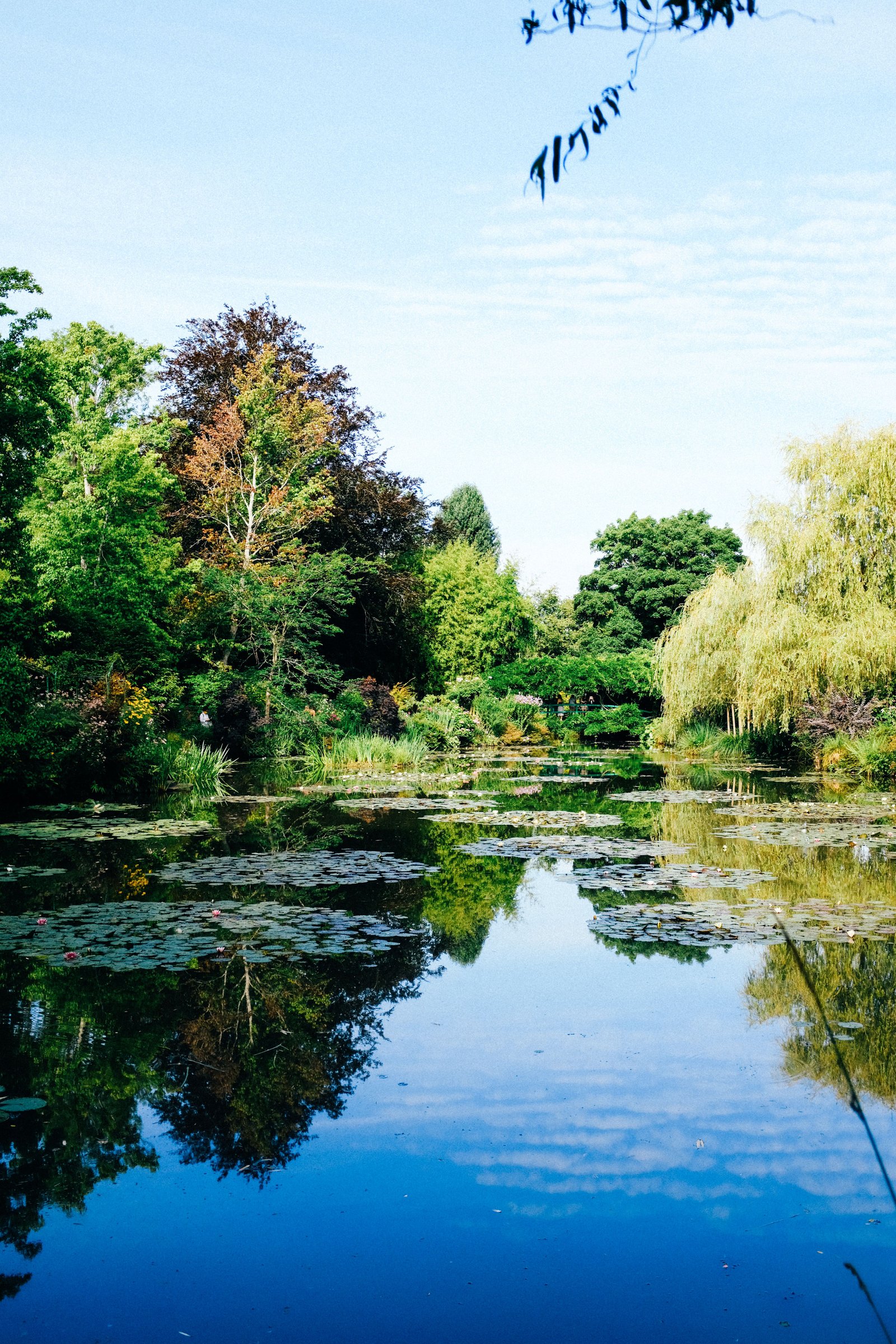 Jardin fleuri de Giverny