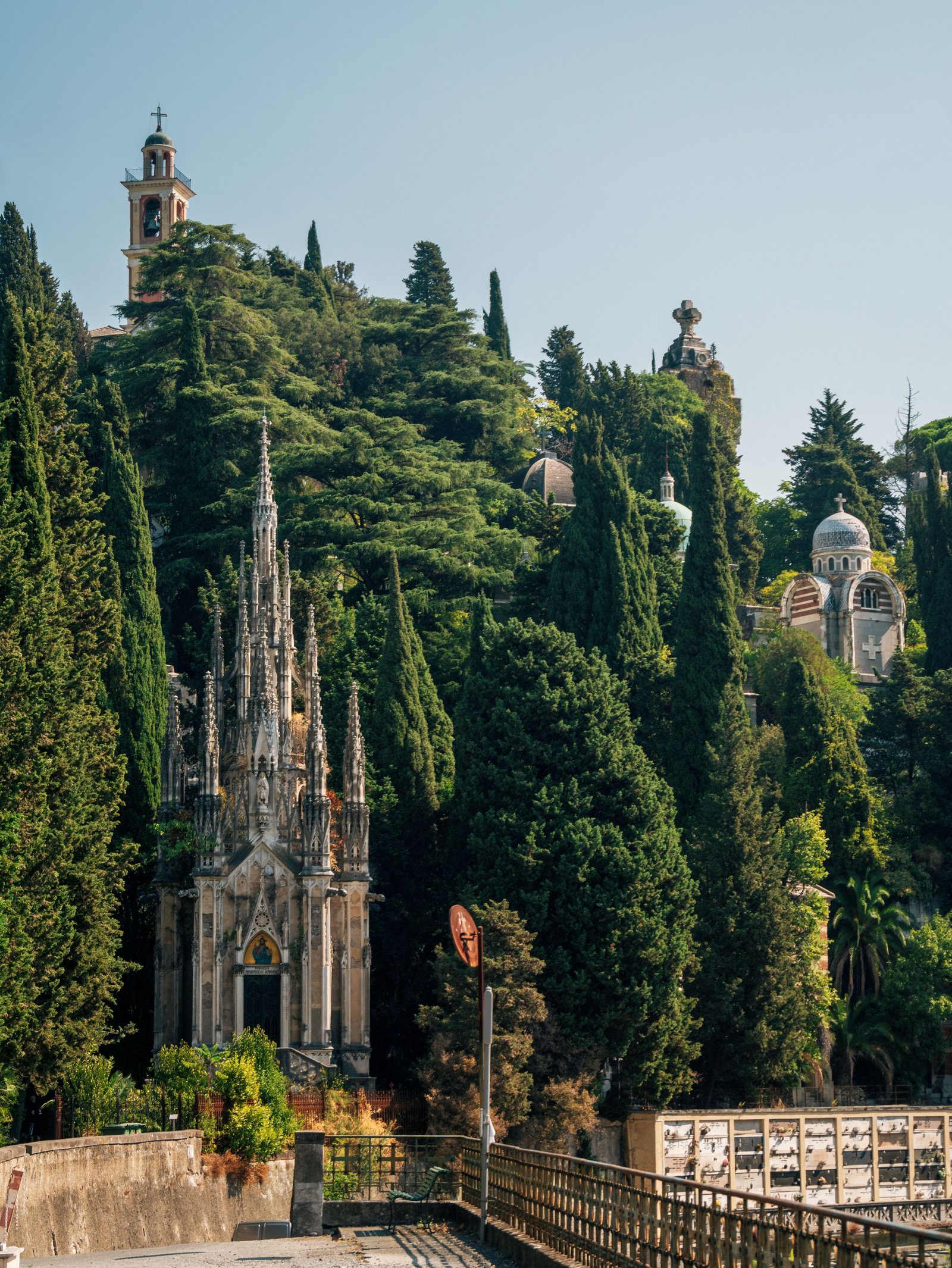 Parc arboré de la Colline du Château à Nice