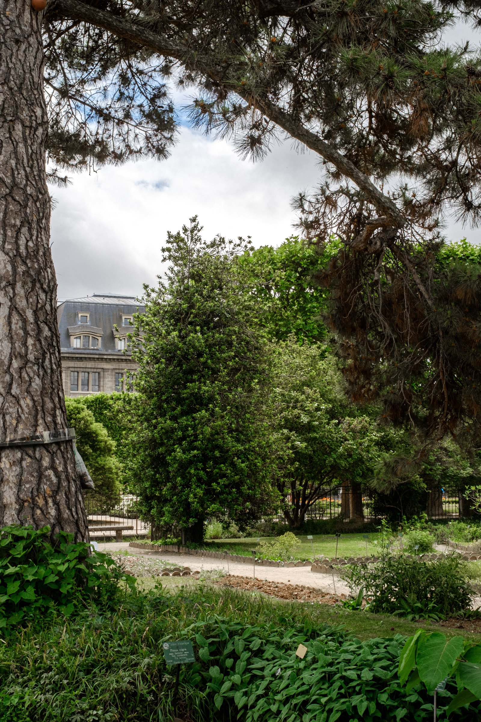 Allées arborées du Jardin du Luxembourg à Paris