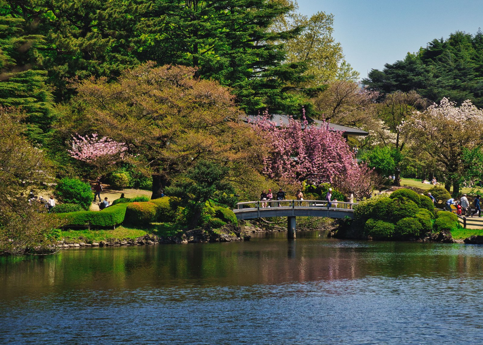 Grand jardin familial