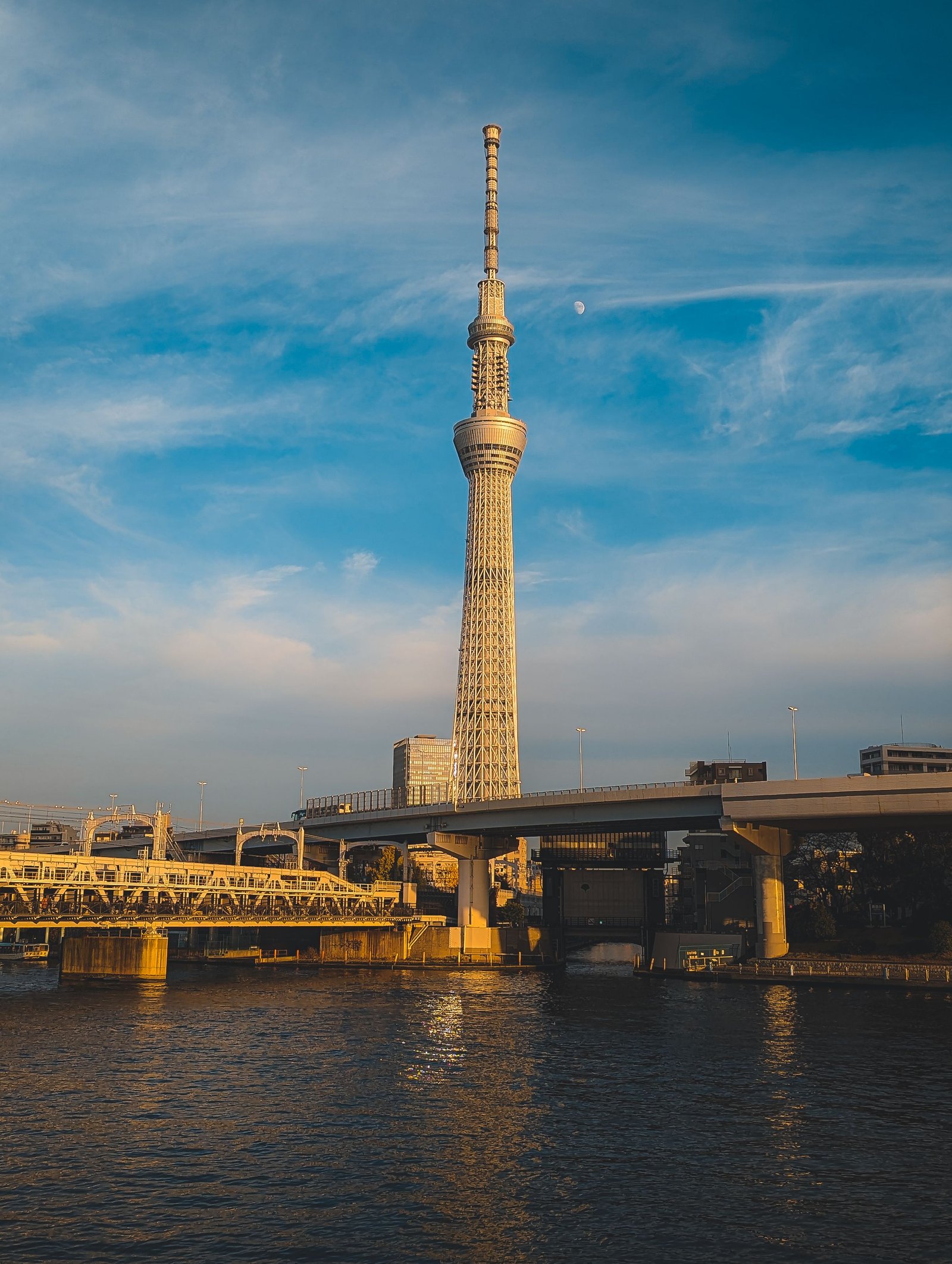Experience immersive coloree a Tokyo