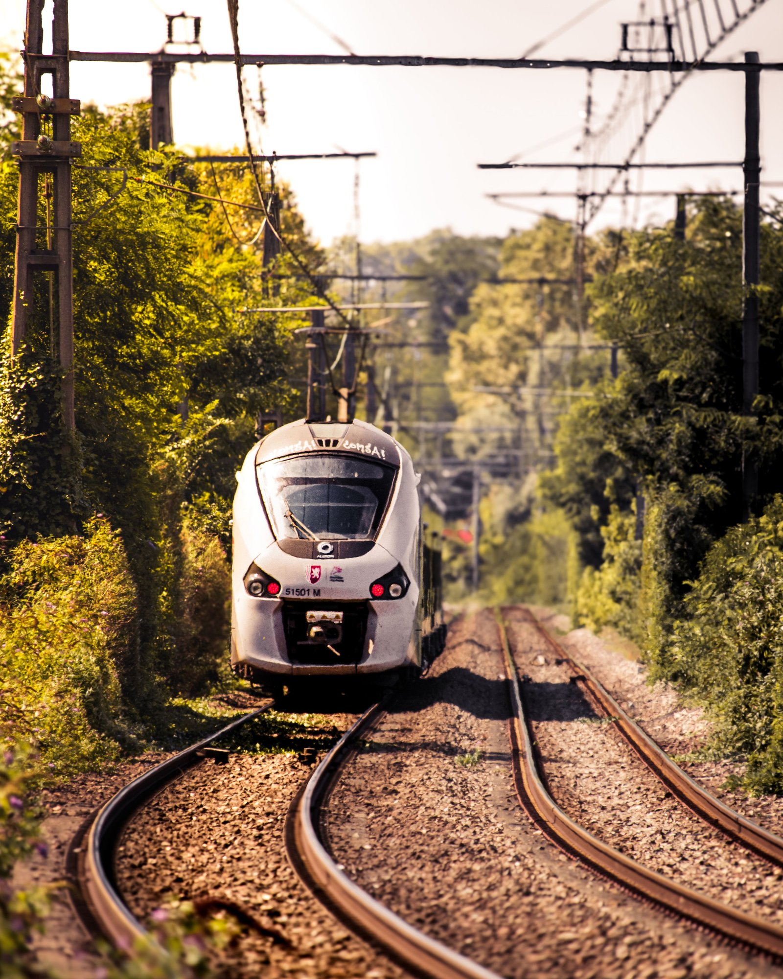 Train de voyageurs circulant dans un paysage verdoyant