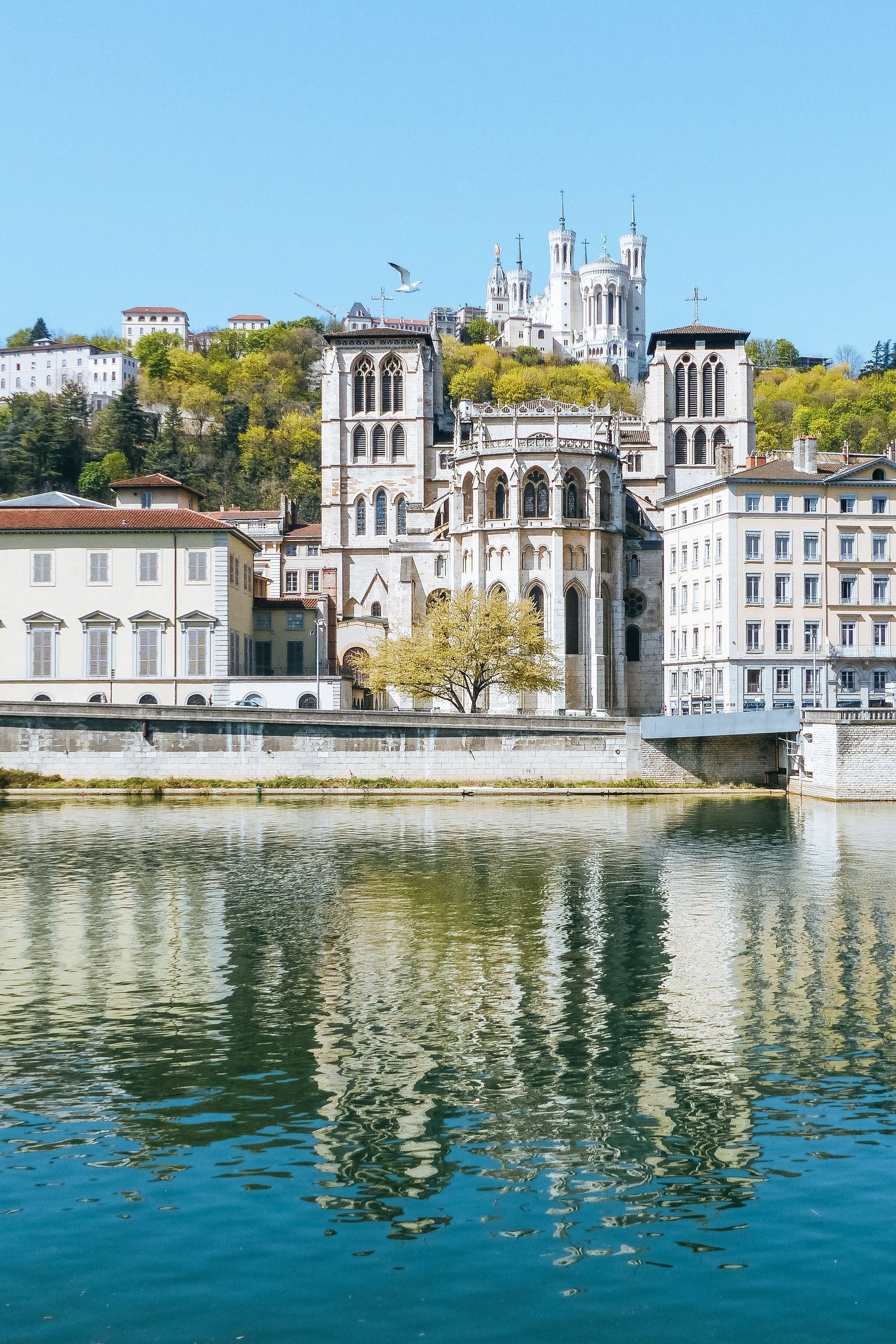 Cathédrale Saint-Jean et basilique de Fourvière vues depuis la Saône