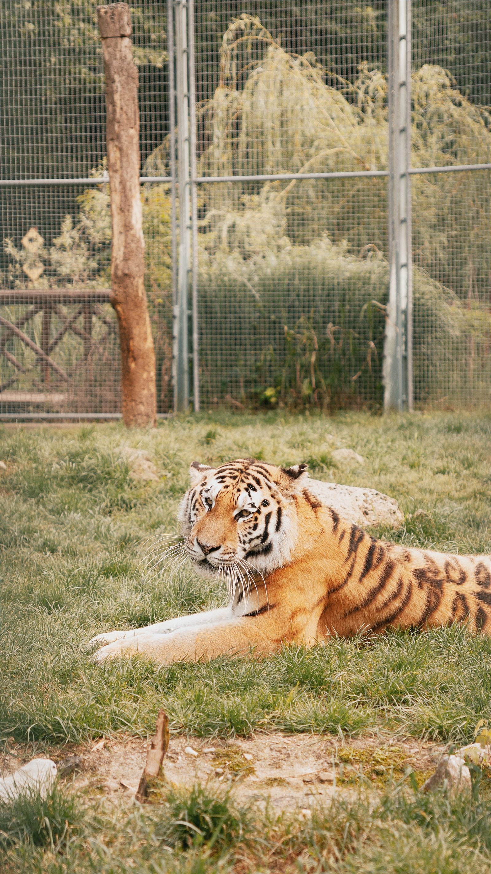 Zoo d’Amnéville avec des enfants