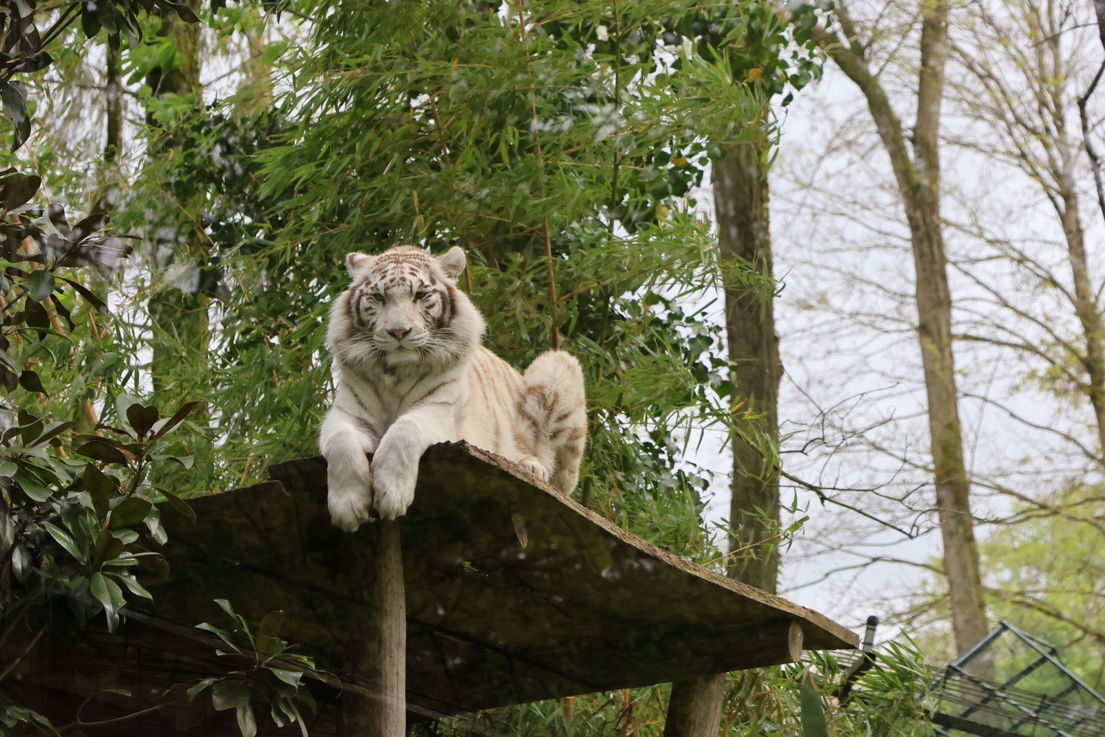 Nature sauvage en famille