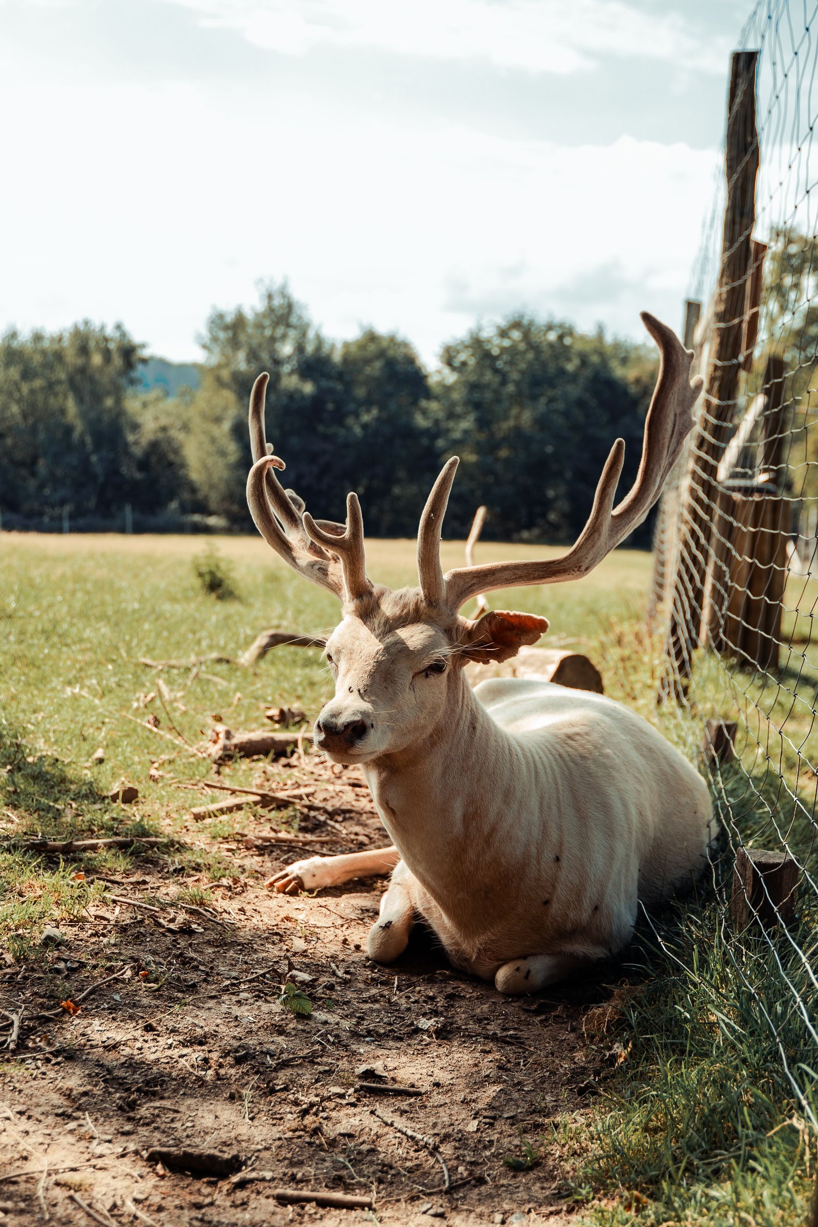 Parc animalier en pleine nature