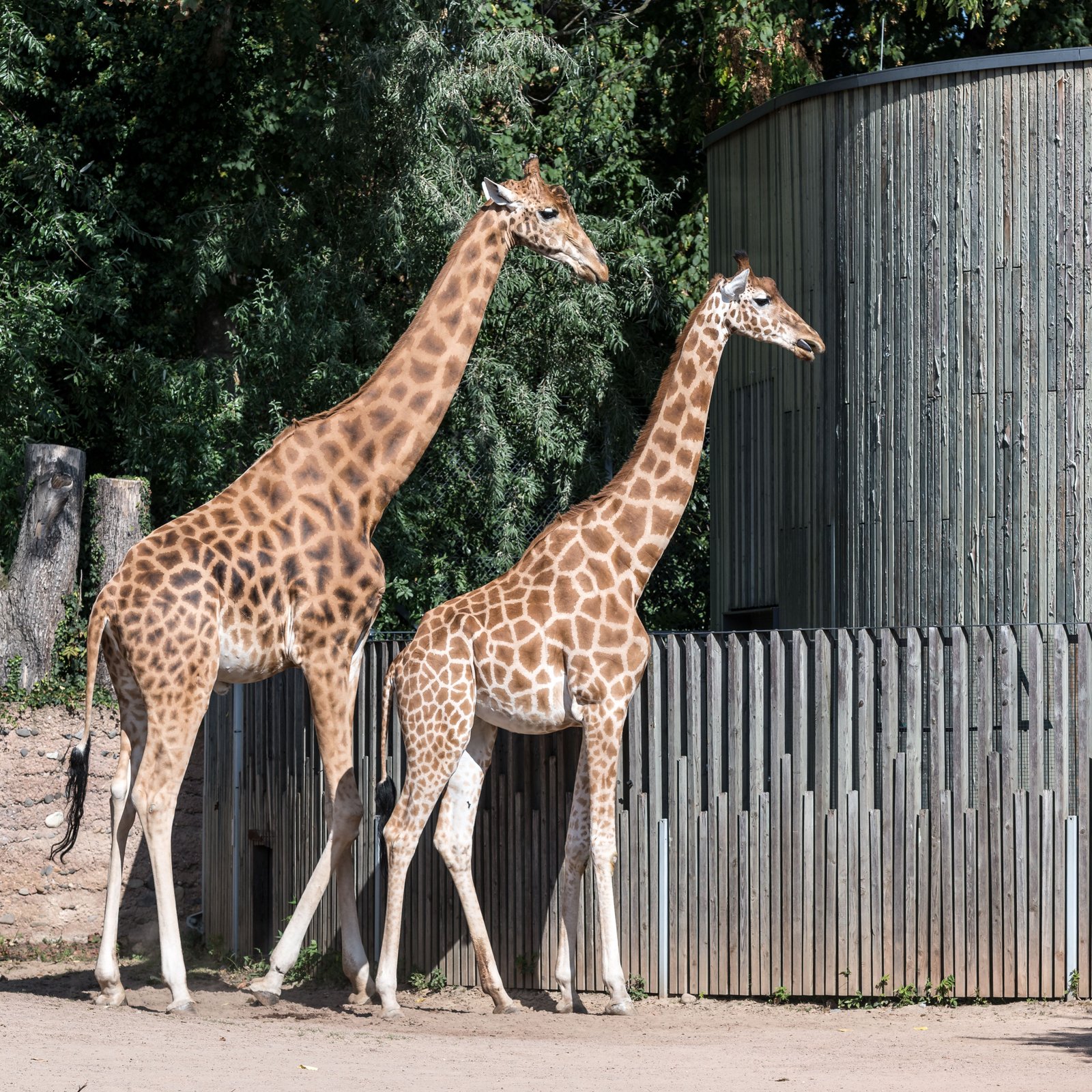 Zoo de Vincennes avec des enfants